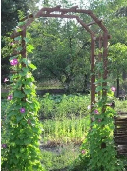Красиво и просто: как сделать садовую арку из дерева своими руками