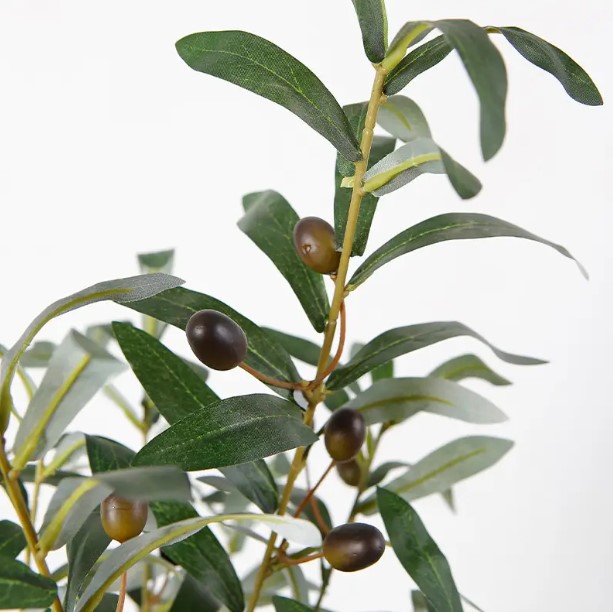    engard olive tree 80 (dw-20)