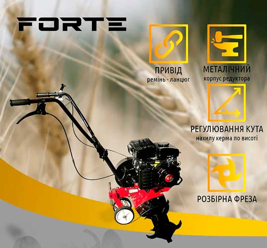  FORTE -65 (95871)