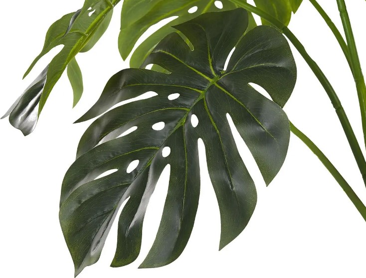   Engard Monstera 110c (TW-04)