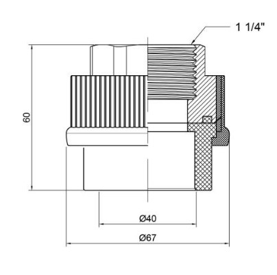  Thermo Alliance PPR 401" 1/4  (DSB208)