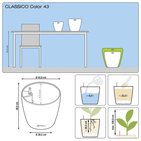    lechuza classico color 43  33 (13244)