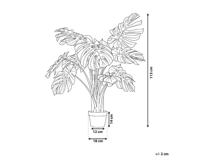   Engard Monstera 110c (TW-04)