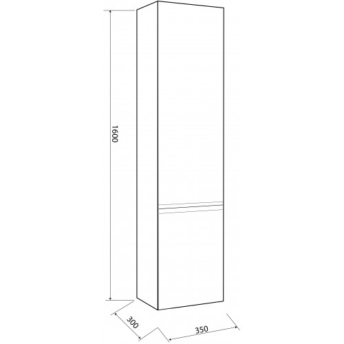 Пенал Norway Eva 35x30x160см правий (M200500)