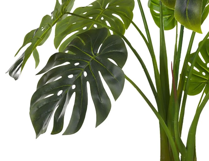   Engard Monstera 110c (TW-04)