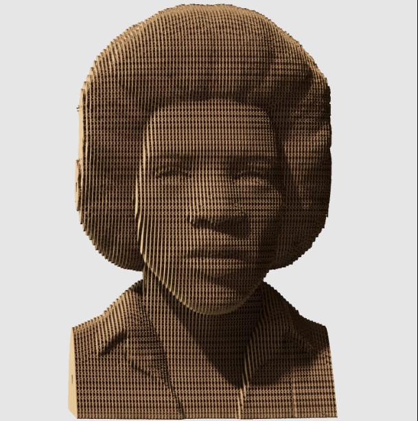    cartonic 3d puzzle jimi h (cartmjmh)