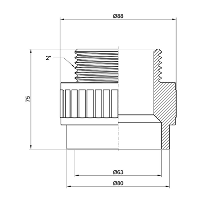 Муфта Alfa Plast PPR 63х2" НР (APMTCX632XX)