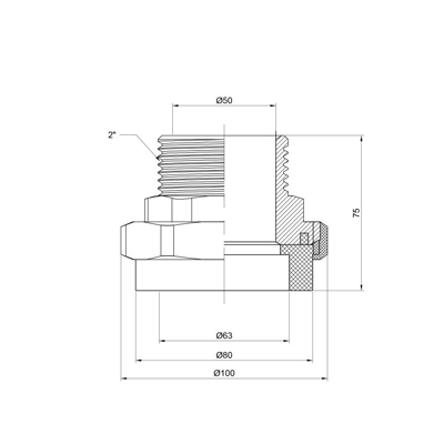 Згон Alfa Plast PPR 63х2" НР (APMTUX632XX)