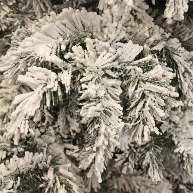   black box trees dinsmore frosted     270 (8718861289053)