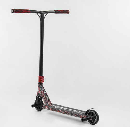   Best Scooter (BS-77488)