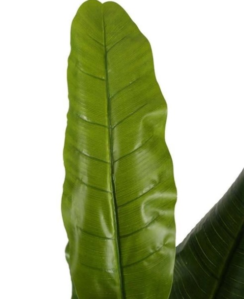 Штучна рослина Engard Banana Tree 140см (DW-08)