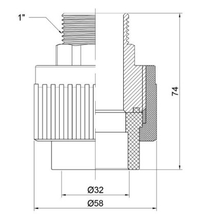  Thermo Alliance PPR 321"  (DSB307)