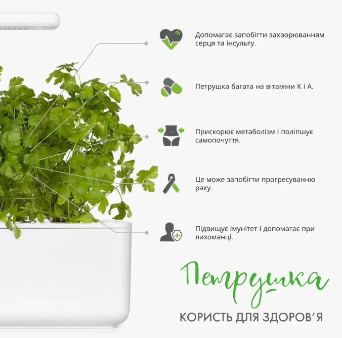 Змінний картридж до гроубоксу Click and Grow Петрушка (7359)