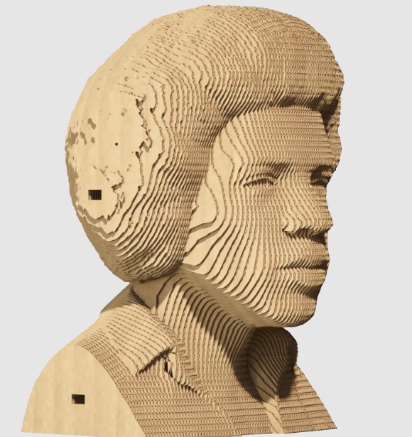    cartonic 3d puzzle jimi h (cartmjmh)