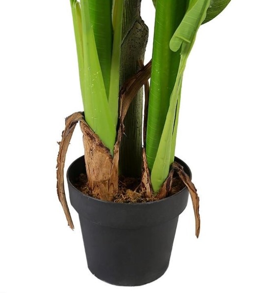   Engard Banana Tree 140 (DW-08)