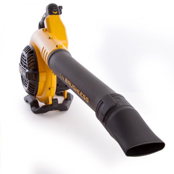   DeWALT DCV100