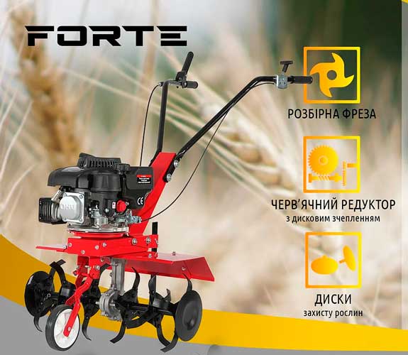  FORTE -650 (96499)