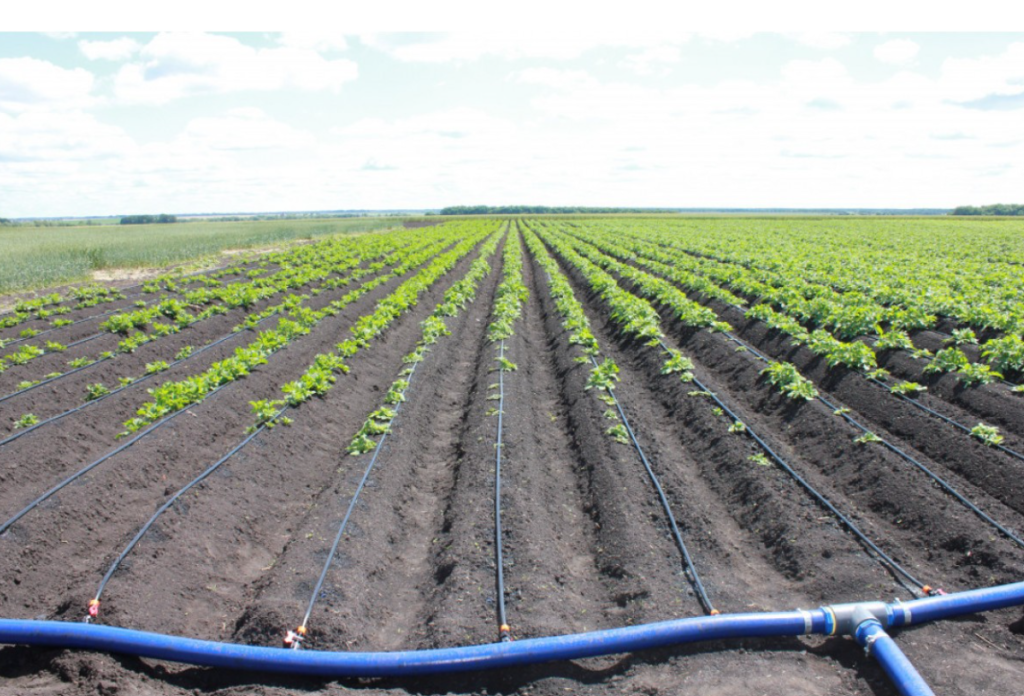 Капельный полив