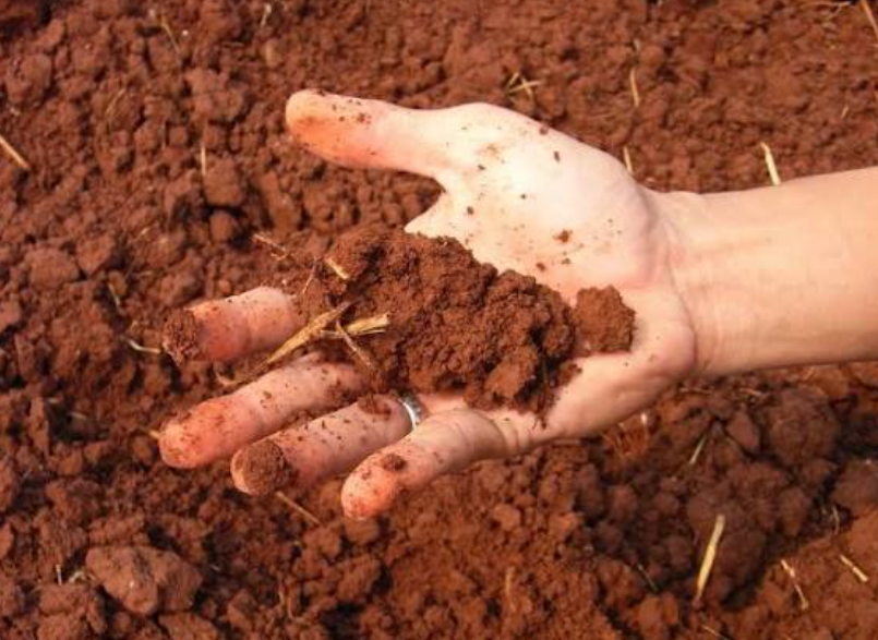 Геотекстиль и почва