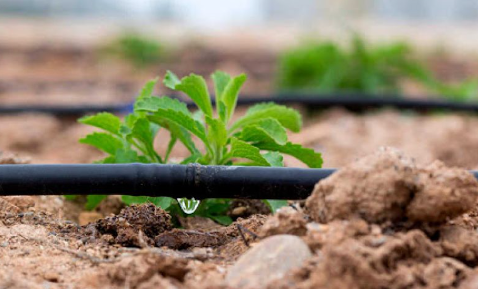 капельное орошение