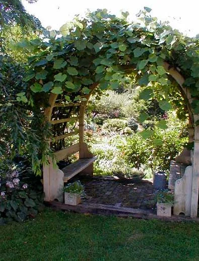 Особенности садовых арок - фото обзор лучших идей для дачи