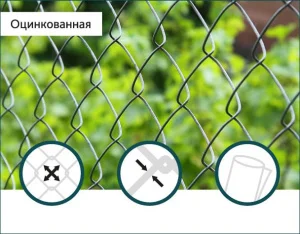 Сітка pабиця оцинкована 55х55/1,6 мм 1,5/10м