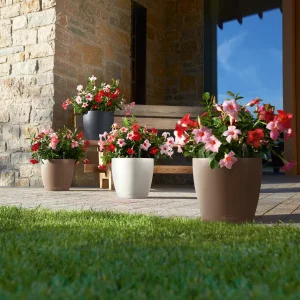 Вазон Lechuza Classico Color 28 мускатний 28x28x26см 9л (13203)