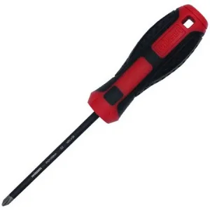 Викрутка HAISSER S2 PH2x100 мм (94798)