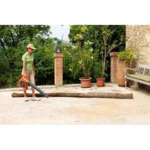 Повітродувка Oleo-Mac BV 300 (56559002E2B)