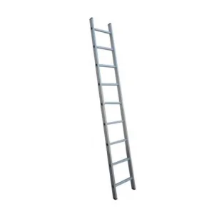 Драбина приставна WERK LZ1109 9 сходинок (90235)