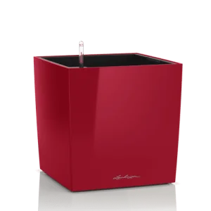 Розумний вазон Lechuza Cube Premium 50 червоний глянцевий 61л (16567)