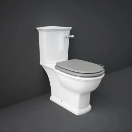 Напольный унитаз RAK Ceramics Sanitaryware Washington (WT11AWHA)