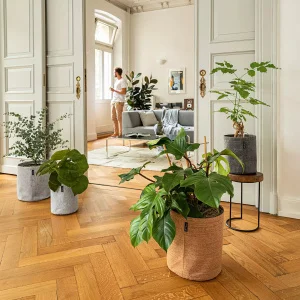 Вазон Lechuza Trendcover 32 пробковий світлий 32x33см 13л (14190)