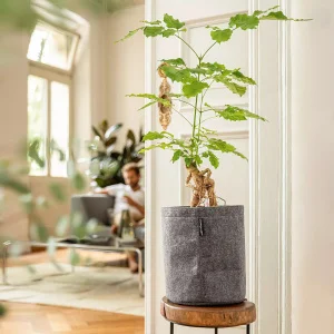Вазон Lechuza Trendcover 23 фетровий темний 23x26,5см 5,5л (14182)