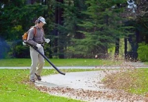 Повітродувка Oleo-Mac BV 162 (56529002E1B)