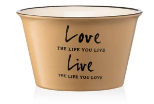 Бульйонниця Ardesto Way of life 550мл (AR3479OL)