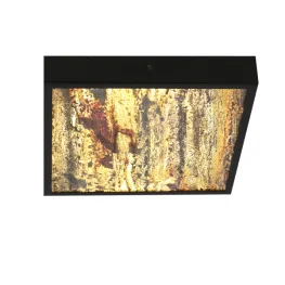 Фото потолочный светильник candellux 10-06684 luxan