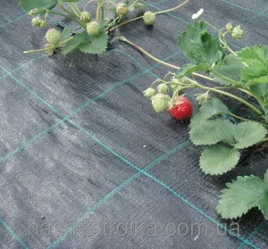 Агротканина Agrojutex 100 (рулон 2,10х20)
