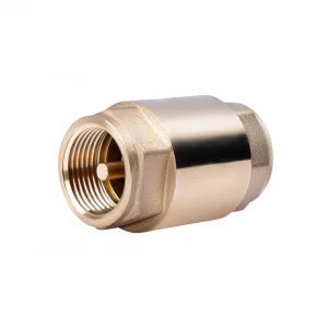 Зворотний клапан SD Forte 1" EURO (SF247W25)