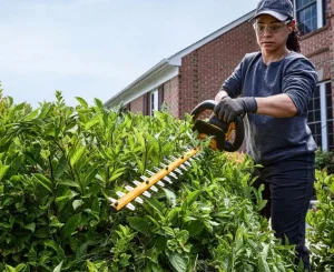 Кущоріз акумуляторний DeWALT DCMHT573N