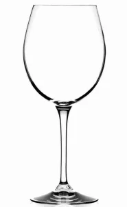 Келих для вина RCR Invino 650мл (26194020406)
