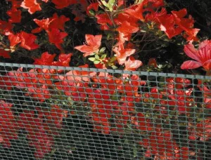 Сетка декоративная Tenax Квадра 10 зелёная (0,5х50м)