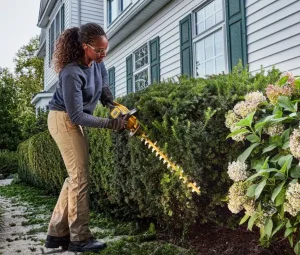 Кущоріз акумуляторний DeWALT DCMHT573N