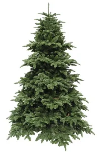 Ялинка штучна Triumph Tree Edelman Abies Nordmann de Luxe зелена 2,30м (8711473890211)