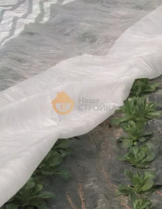 Агроволокно Plant-Protex 23 г/м2 (рулон 12.65х100)