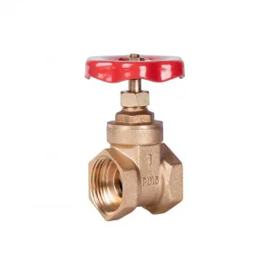 Засувка SD Plus 1" ВР (SD25025)