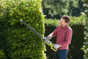 Кущоріз мережевий Ryobi RHT8165RL (5133003649)