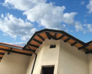 Заглушка желоба Regenau 125 коричневая