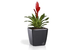 Розумний вазон Plastkon Quadrato Flower Lover антрацит 5,4 л