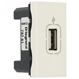 Розетка USB Legrand Mosaic тип А белый (078761)